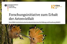 Ausschnitt aus dem Titelblatt der Broschüre zur FONA-Forschungsinitiative Artenvielfalt