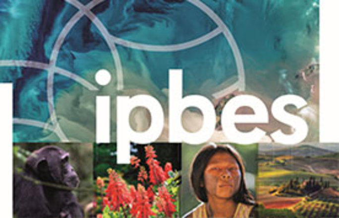 Cover Globales IPBES-Assessment zu Biodiversität und Ökosystemleistungen