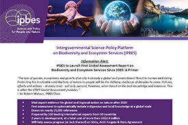 Cover des Primers zum globalen IPBES Assessment zu Biodiversität und Ökosystemleistungen