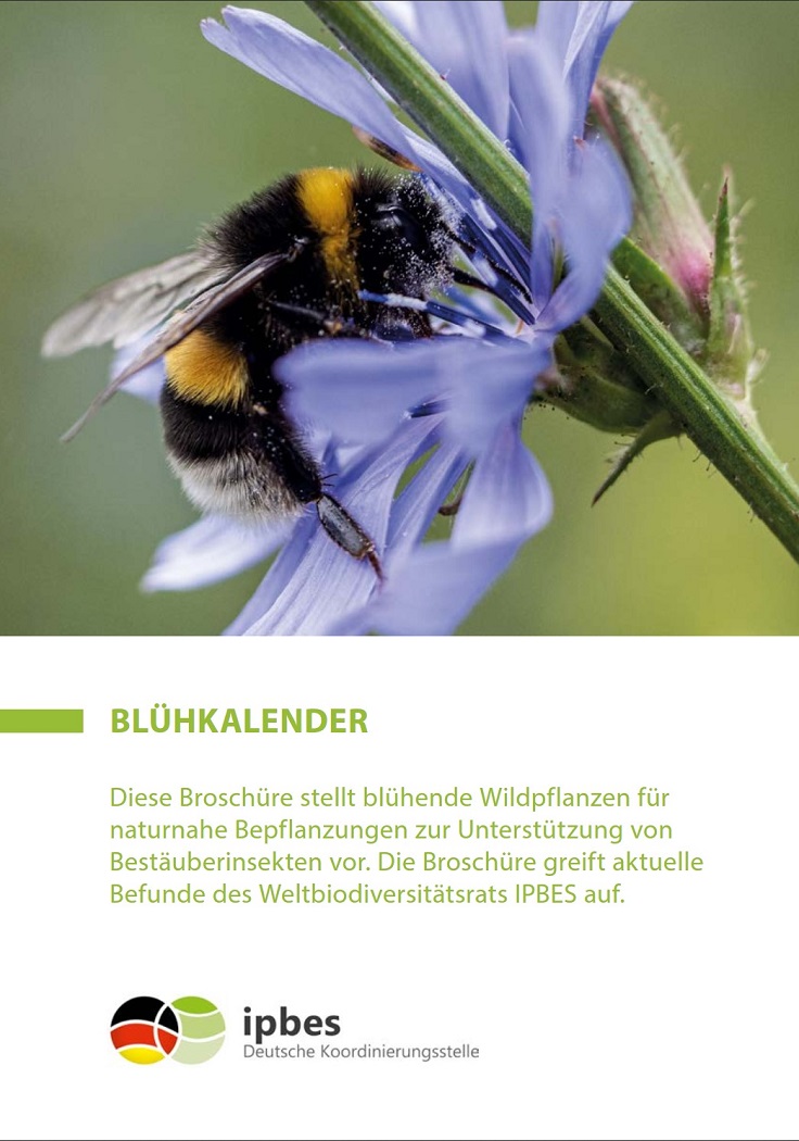 Cover Blühkalender
