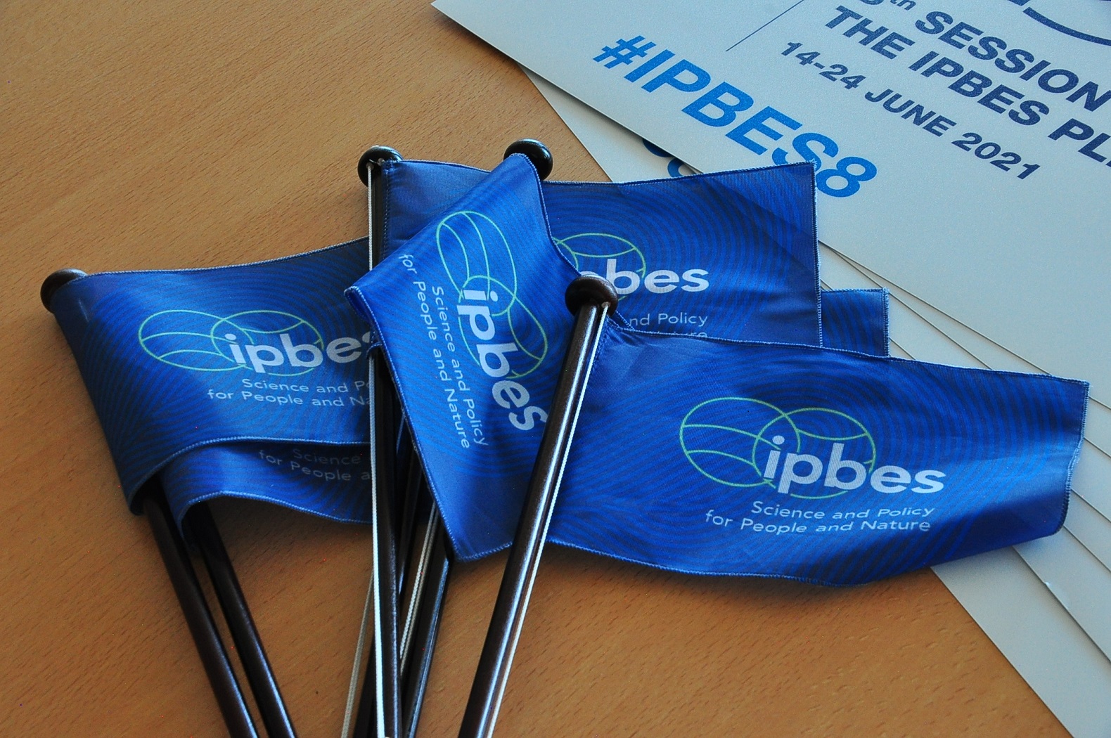 IPBES Tischflaggen