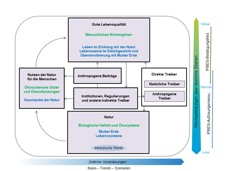 Konzeptioneller Rahmen von IPBES