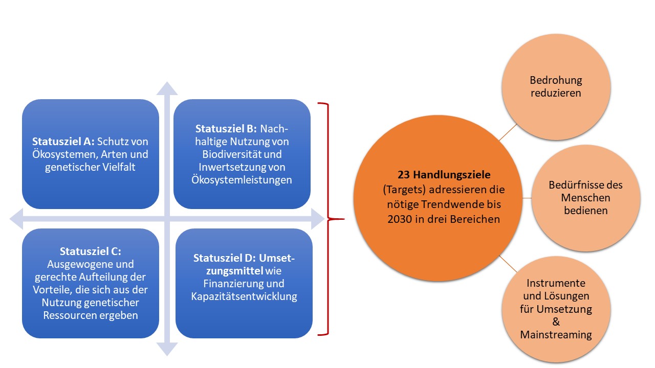 Abbildung 1