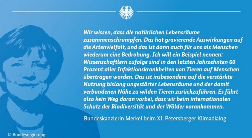 Bundeskanzlerin Merkel beim 11. Peterberger Klimadialog