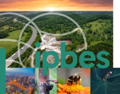 Coverbild des Business Biodiversity Assessments