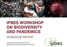 IPBES-Bericht Biodiversität und Pandemie