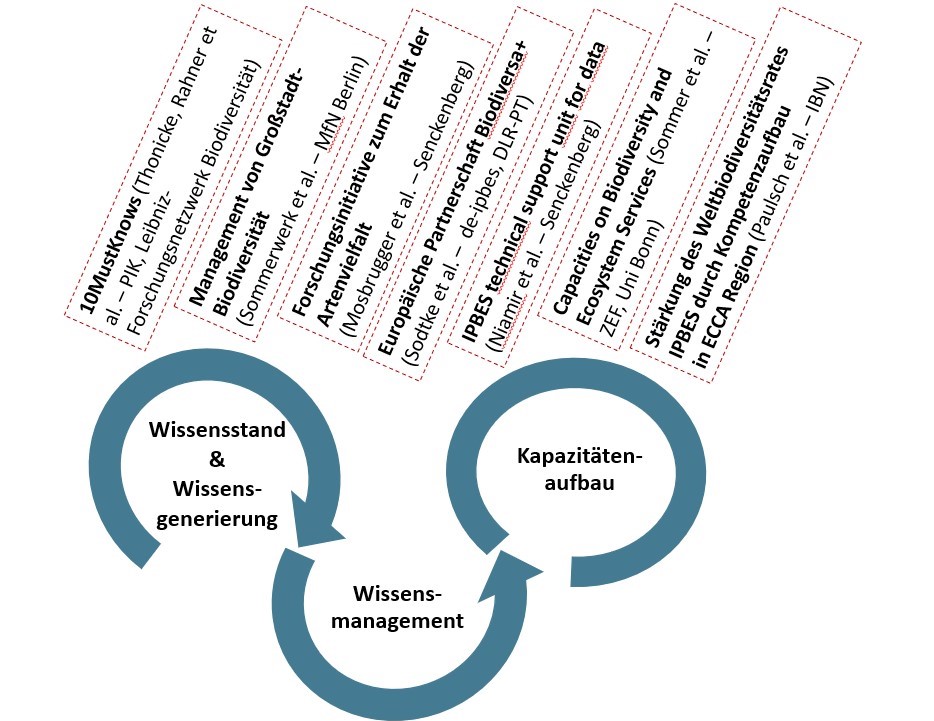 © Deutsche IPBES-Koordinierungsstelle