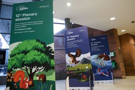 Foto aus den Gängen von IPBES12 mit drei RollUps im IPBES12 Design