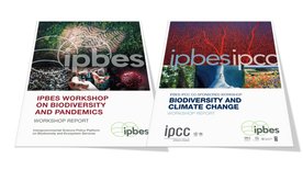 Frontcover der beiden Workshopberichte zu Pandemien und Biodiversität sowie des gemeinsamen IPBES-IPCC-Workshop-Berichts zu Klimawandel und Biodiversität