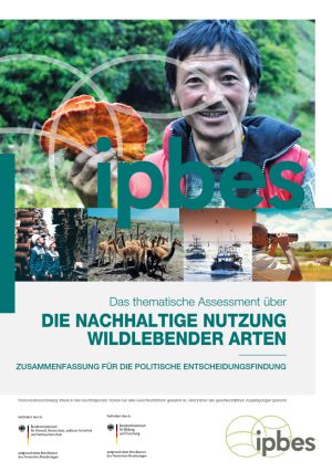 Titelseite des Artikels