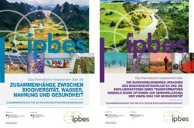 Cover Transformative Change und Nexus