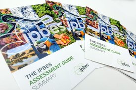 Teaser_AssessmentGuide_PhotoIISD