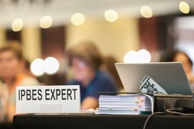 Foto vom IPBES11. Auf einem Schild ist "IPBES Expert" zu lesen