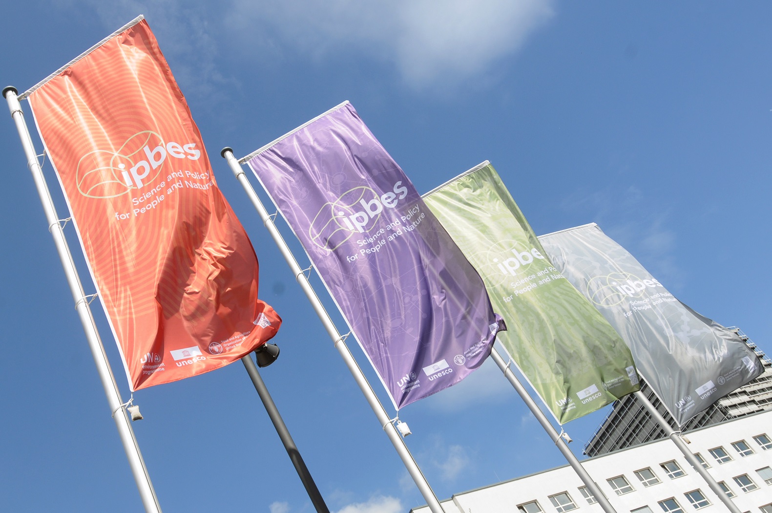 Wehende IPBES-Fahnen vor dem World Conference Center Bonn, dem Veranstaltungsort von IPBES-9. 
