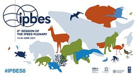 IPBES-8 branding