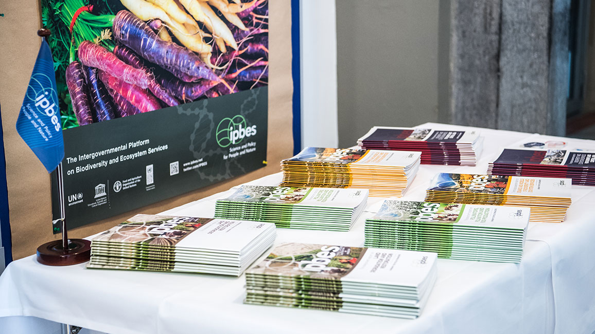 IPBES Flyer und Broschüren