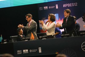 Foto der applaudierenden Co-Vorsitzenden des IPBES Business and Biodiversity Assessment auf IPBES12