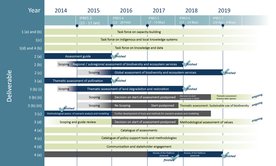 Schaubild IPBES-Fahrplan 2014 - 2018