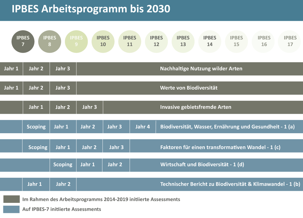 IPBES-Arbeitsprogramm bis 2030
