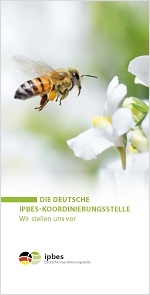 Titelseite der Broschüre: Biene fliegt Obstblüte an