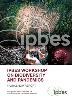 Cover Bericht IPBES Workshop Biodiverstaet und Pandemie