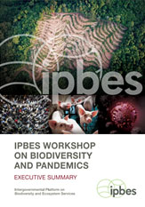 IPBES-Workshopbericht