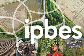 Ausschnitt aus dem Titelbild der IPBES-Broschüre