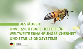 Titelseite der Broschüre: Biene fliegt Obstblüte an