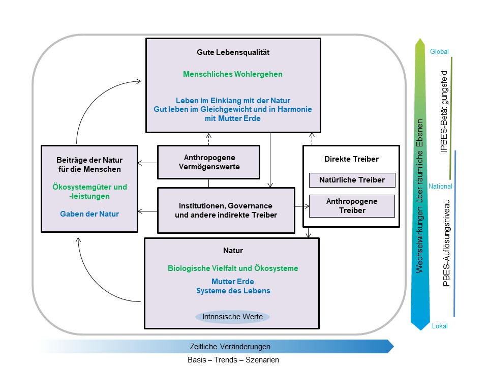 Konzeptioneller Rahmen von IPBES