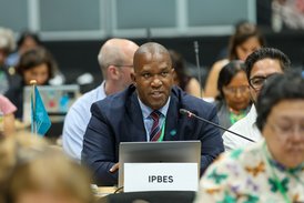 Neuer Exekutivsekretaer Dr. Luthando Dziba