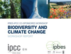 Coverfoto des gemeinsamen IPBES-IPCC-Berichts zu Biodiversität und Klimawandel
