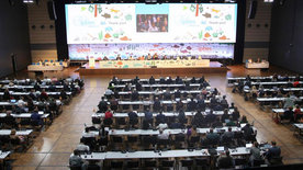 Raum mit Teilnehmenden während des Plenums